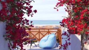 أيكو الساحل الشمالي Eko North Coast