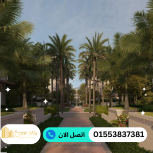 ااتصل الان 2024 06 26T221556.038